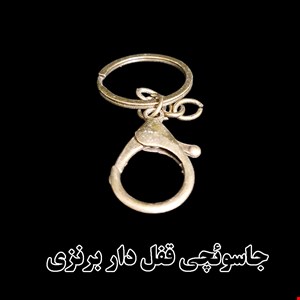 جاسوئچی قفل دار